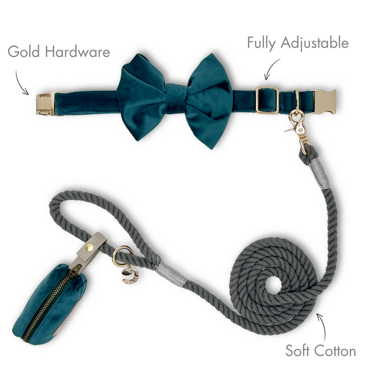 Velvet Atlantic Waves Classic Dog Collar + Bow Tie Walk Set