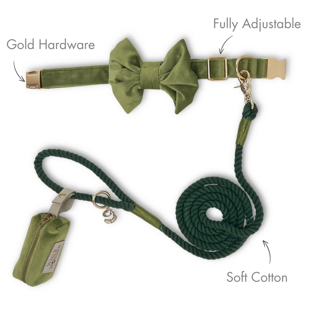 Velvet Meadow Classic Dog Collar + Bow Tie Walk Set