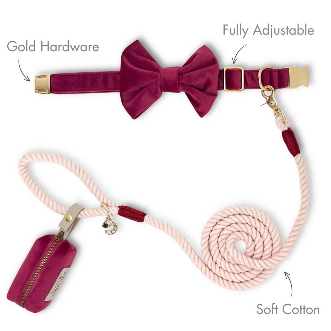 Velvet Mulberry Classic Dog Collar + Bow Tie Walk Set