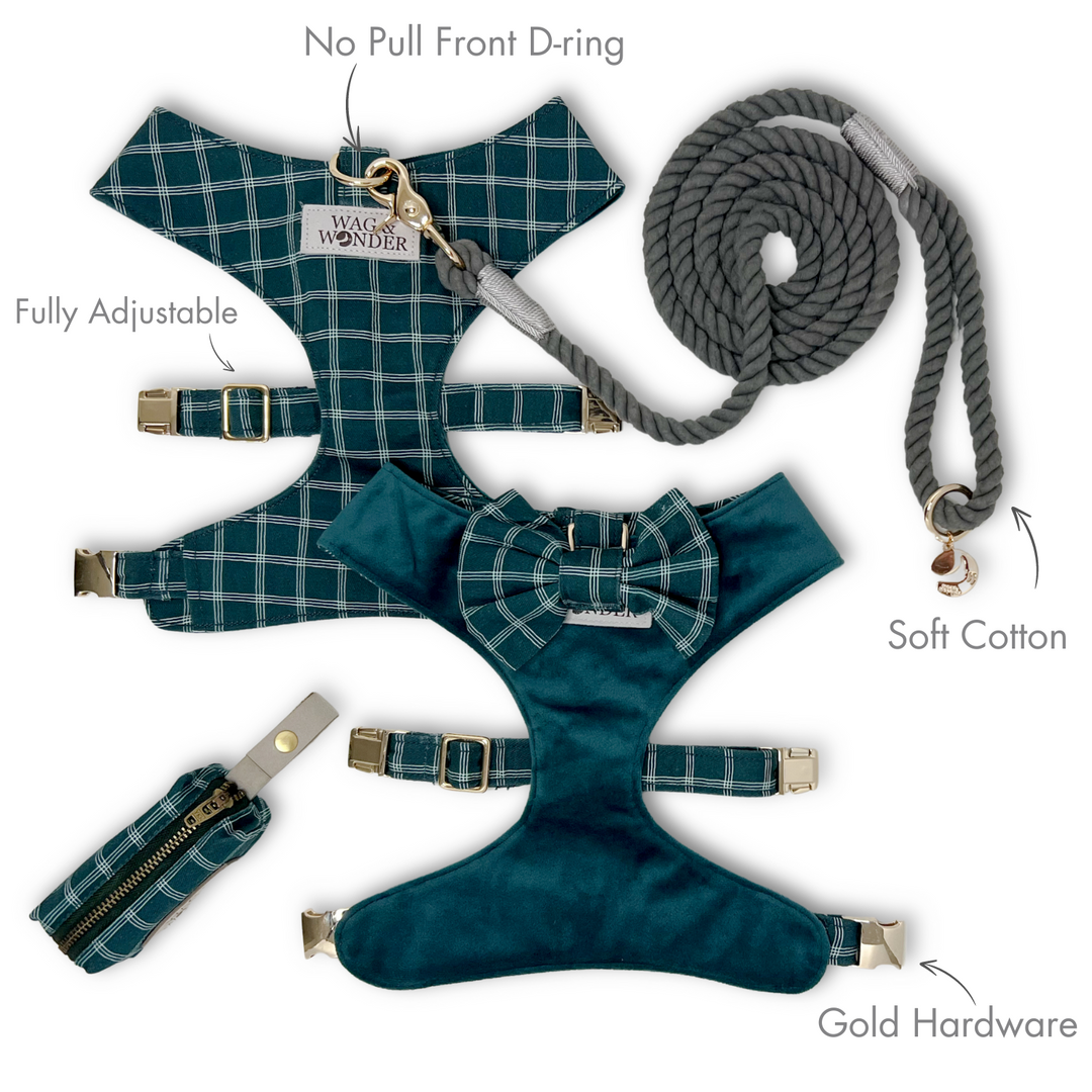 Atlantic Waves Reversible Dog Harness + Bow Tie Walk Set