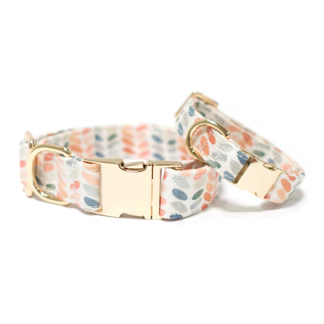 Arctic Sky Classic Dog Collar + Bow Tie Walk Set