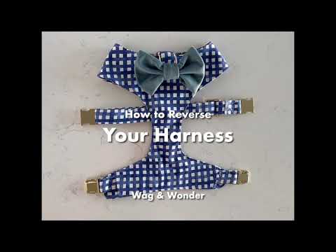 Leopard Parade Reversible Dog Harness + Bow Tie