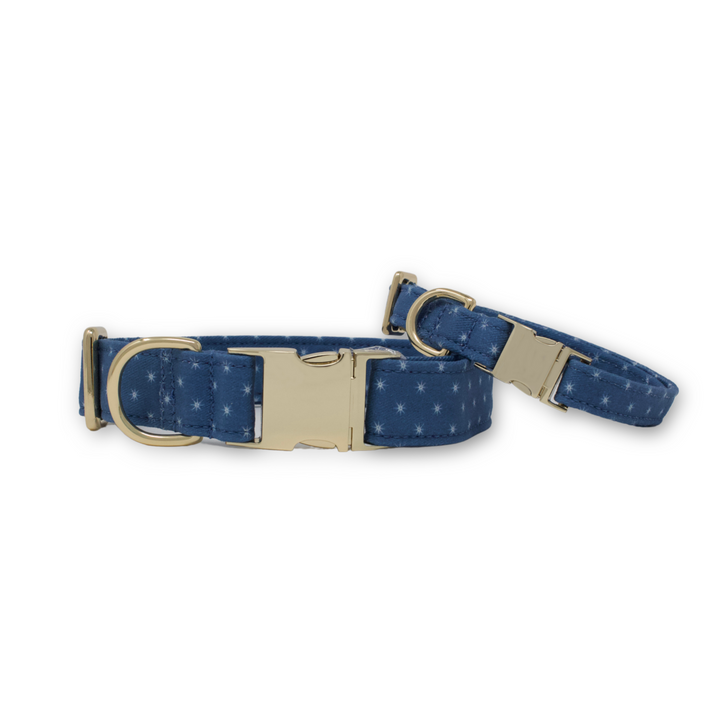 Starry Sky Classic Dog Collar + Bow Tie Walk Set